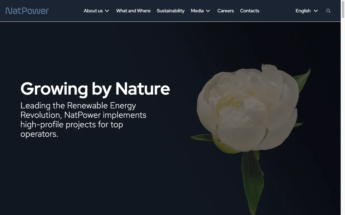 Screenshot of the NatPower homepage